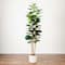 7ft. Fiddle Leaf Tree in Decorative White Planter